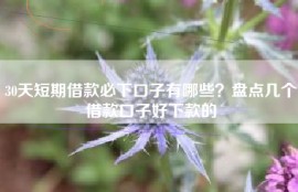 30天短期借款必下口子有哪些？盘点几个借款口子好下款的