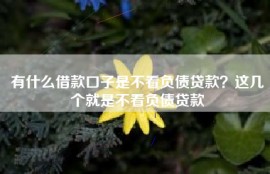 有什么借款口子是不看负债贷款？这几个就是不看负债贷款