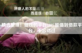精选整理！借钱的平台100%能借到借款平台，不容错过