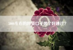 5000左右的网贷口子哪个好通过？