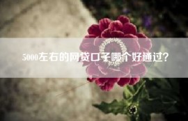 5000左右的网贷口子哪个好通过？