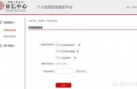 征信去哪个银行可以查到，求解？