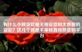 有什么小额贷款是无视征信和大数据的贷款？这几个就是不审核直接放款的平台