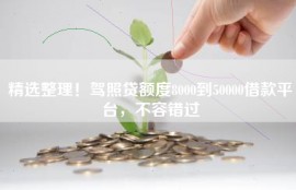 精选整理！驾照贷额度8000到50000借款平台，不容错过