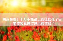 精选整理！千万不能错过的征信花了白猫贷容易通过吗小额贷款