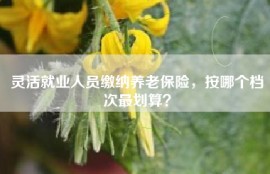 灵活就业人员缴纳养老保险，按哪个档次最划算？
