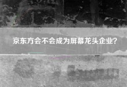 京东方会不会成为屏幕龙头企业？