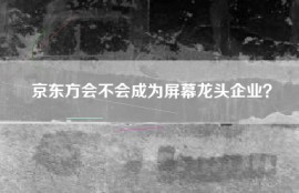 京东方会不会成为屏幕龙头企业？