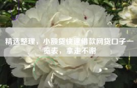 精选整理，小额贷快速借款网贷口子一览表，拿走不谢