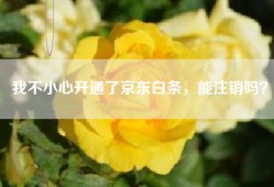 我不小心开通了京东白条，能注销吗？