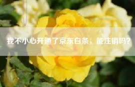 我不小心开通了京东白条，能注销吗？
