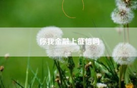 你我金融上征信吗