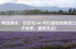 网贷盘点，征信花100%可以借钱的网贷口子名单，值得关注！