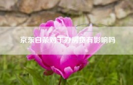 京东白条对于办房贷有影响吗