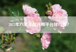 2022年六大正规分期平台排行榜？