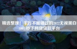 精选整理！千万不能错过的2022无视黑白100%秒下网贷贷款平台