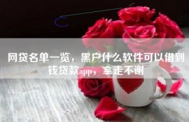 网贷名单一览，黑户什么软件可以借到钱贷款app，拿走不谢