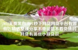 2022无视黑白100%秒下网贷网贷平台有哪些？精选整理分享不查征信不看负债的网贷有哪些小额贷款