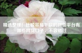 精选整理！比较容易下款的网贷平台有哪些网贷口子，不容错过