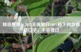 精选整理！2022无视黑白100%秒下网贷网贷口子，不容错过