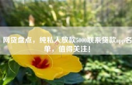 网贷盘点，纯私人放款5000联系贷款app名单，值得关注！