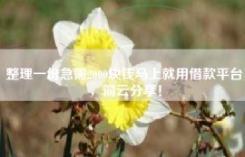 整理一份急需2000块钱马上就用借款平台，简云分享！