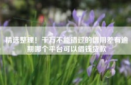 精选整理！千万不能错过的信用差有逾期哪个平台可以借钱贷款