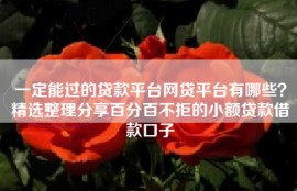 一定能过的贷款平台网贷平台有哪些？精选整理分享百分百不拒的小额贷款借款口子