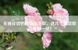 无视征信的网贷必下款，这几个借款软件值得一试！