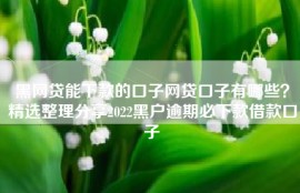 黑网贷能下款的口子网贷口子有哪些？精选整理分享2022黑户逾期必下款借款口子