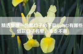 精选整理一份黑口子必下款app2022有哪些借款口子名单，拿走不谢