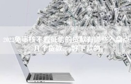 2022免审核不看征信的贷款有哪些？盘点几个贷款app好下款的