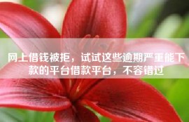 网上借钱被拒，试试这些逾期严重能下款的平台借款平台，不容错过