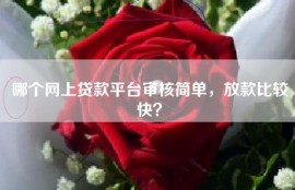 哪个网上贷款平台审核简单，放款比较快？
