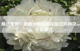 精选整理！蜜柚分期征信花能过吗网贷app，不容错过