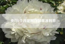 央行3个月定期存款基准利率