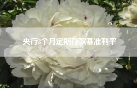 央行3个月定期存款基准利率