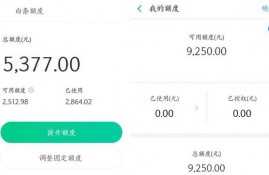 支付宝花呗与京东白条那个比较好使用？