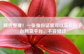 精选整理！一张身份证就可以贷款的平台网贷平台，不容错过