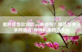 黑网贷借款贷款app有哪些？精选整理分享网借钱1分钟到账网贷平台