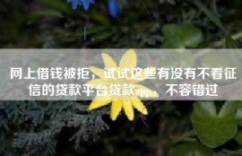 网上借钱被拒，试试这些有没有不看征信的贷款平台贷款app，不容错过