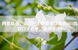 网贷盘点，征信烂了哪里可以借钱2022借款口子名单，值得关注！