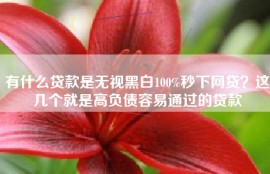 有什么贷款是无视黑白100%秒下网贷？这几个就是高负债容易通过的贷款