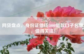 网贷盘点，身份证借钱5000借款口子名单，值得关注！
