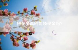 拼多多真的能领现金吗？