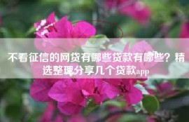 不看征信的网贷有哪些贷款有哪些？精选整理分享几个贷款app