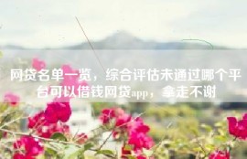 网贷名单一览，综合评估未通过哪个平台可以借钱网贷app，拿走不谢
