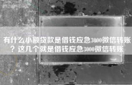 有什么小额贷款是借钱应急3000微信转账？这几个就是借钱应急3000微信转账