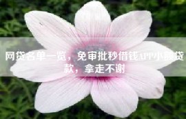 网贷名单一览，免审批秒借钱APP小额贷款，拿走不谢