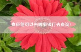 查征信可以去哪家银行去查询?